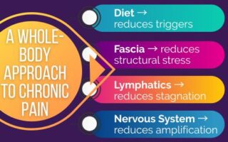 A Whole Body Approach To Managing Chronic Pain. Diet, Facia, Lymphatics, Nervous System